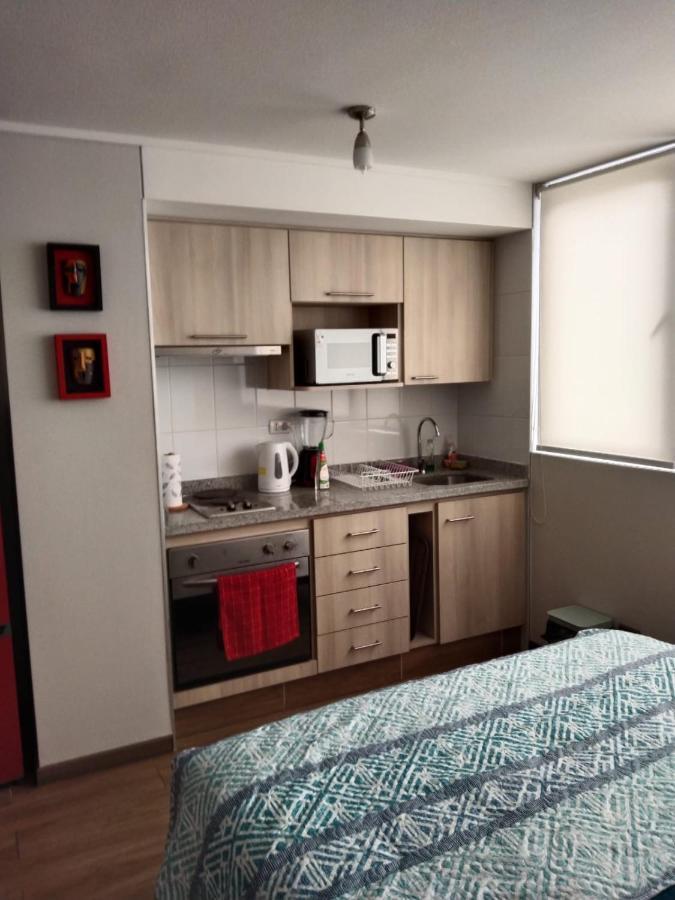 Apartmán Departamento Nuevo Tipo Estudio En Pleno Centro -8 Concepción Exteriér fotografie