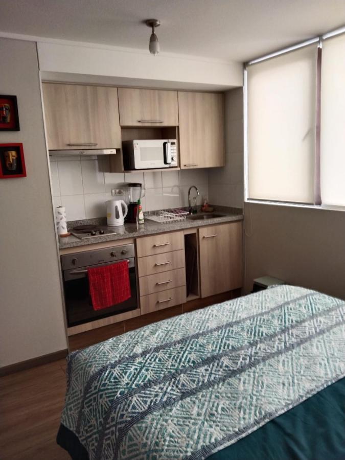 Apartmán Departamento Nuevo Tipo Estudio En Pleno Centro -8 Concepción Exteriér fotografie